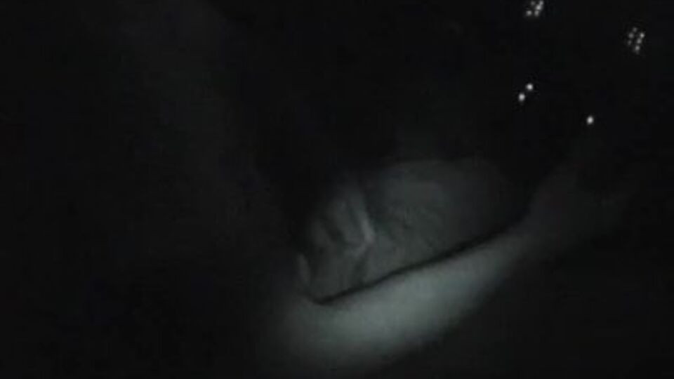 Emotional soul mate's big cock smut Free Porn Videos | BestPornHubs.