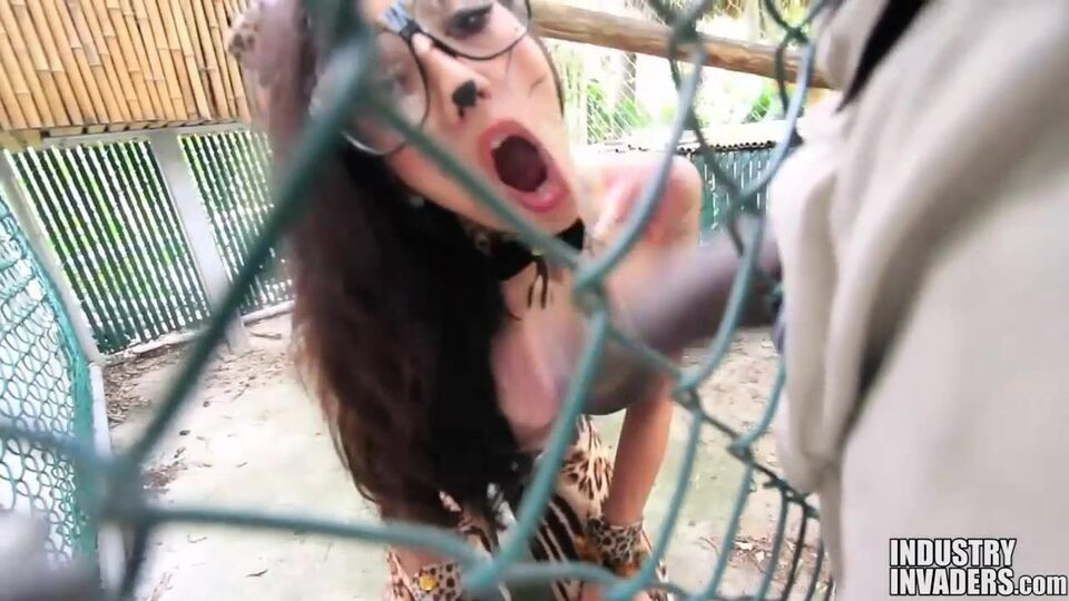 Sinful Stefania's medium size tits sex Free Porn Videos | BestPornHubs.