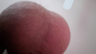 Jerk2Porn's best balls sucking video by Verified Amateurs