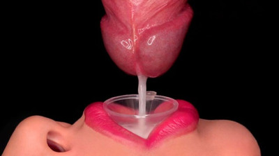 Plastic SweetheartKiss at close up action
